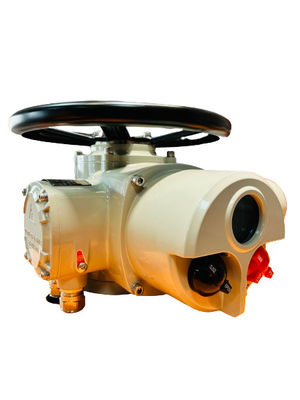 acheter Commande à distance en acier 100NM IP67 online manufacture