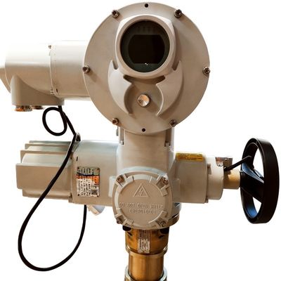 Mua Động cơ điện chống nổ tùy chỉnh F Mức cách nhiệt 440v online manufacture